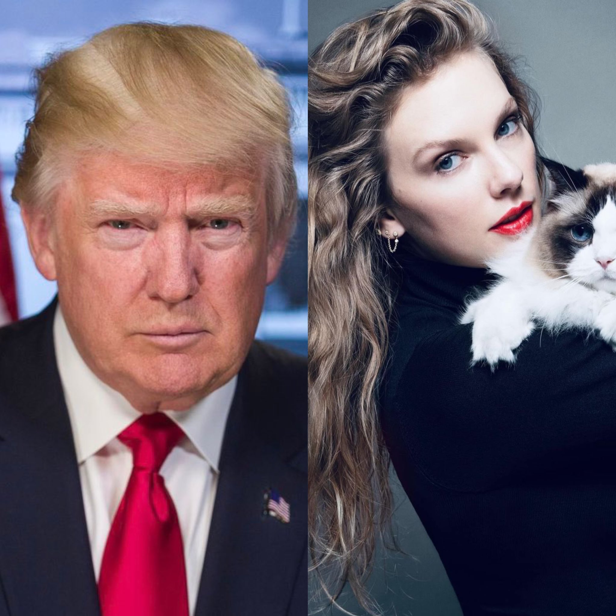 Taylor Swift and Donald Trump