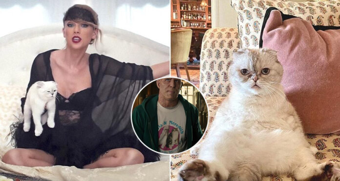 Taylor Swift and her cat olivia and deadpool
