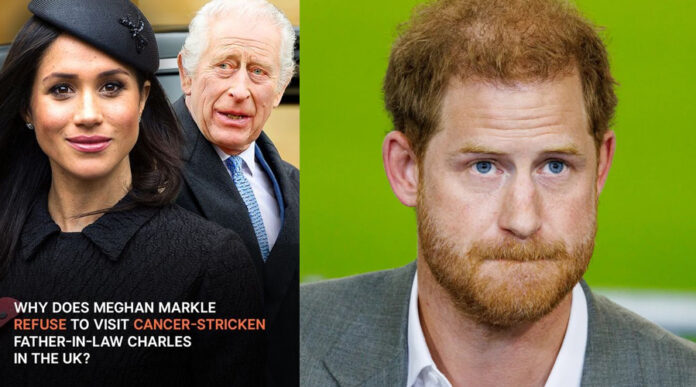 Prince Harry and Meghan Markle and King Charles