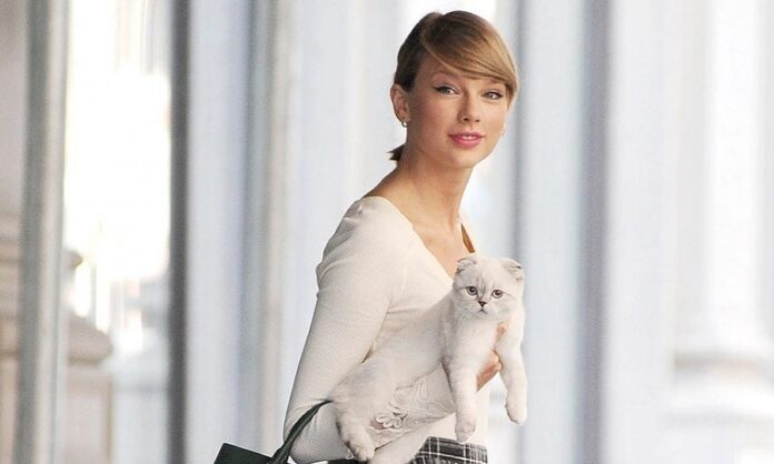Taylor Swift and her Cat
