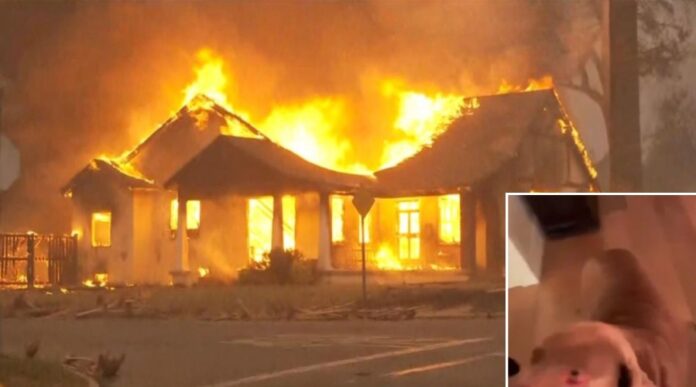 Two men and a dog captured on film trapped in a home as inferno raged around them