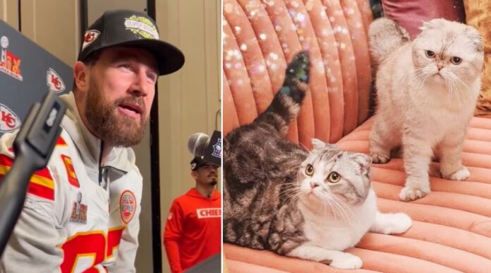 Travis Kelce reveals which Taylor’s cat is his biggest supporter