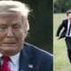 White House in PANIC as Unknown Man Releases BRUTAL Dog at Trump - Secret Footage Shows Chaos and Terrifying Moments, Watch Before It’s Deleted