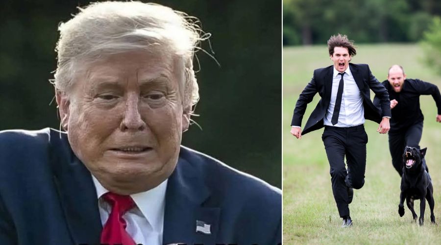 White House in PANIC as Unknown Man Releases BRUTAL Dog at Trump - Secret Footage Shows Chaos and Terrifying Moments, Watch Before It’s Deleted