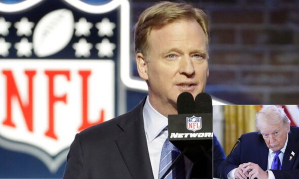 NEWS: Trump confirms to Fox News that ICE agents will conduct enforcement at the Super Bowl, calling it an “effective move.” The statement has caused widespread reactions nationwide.