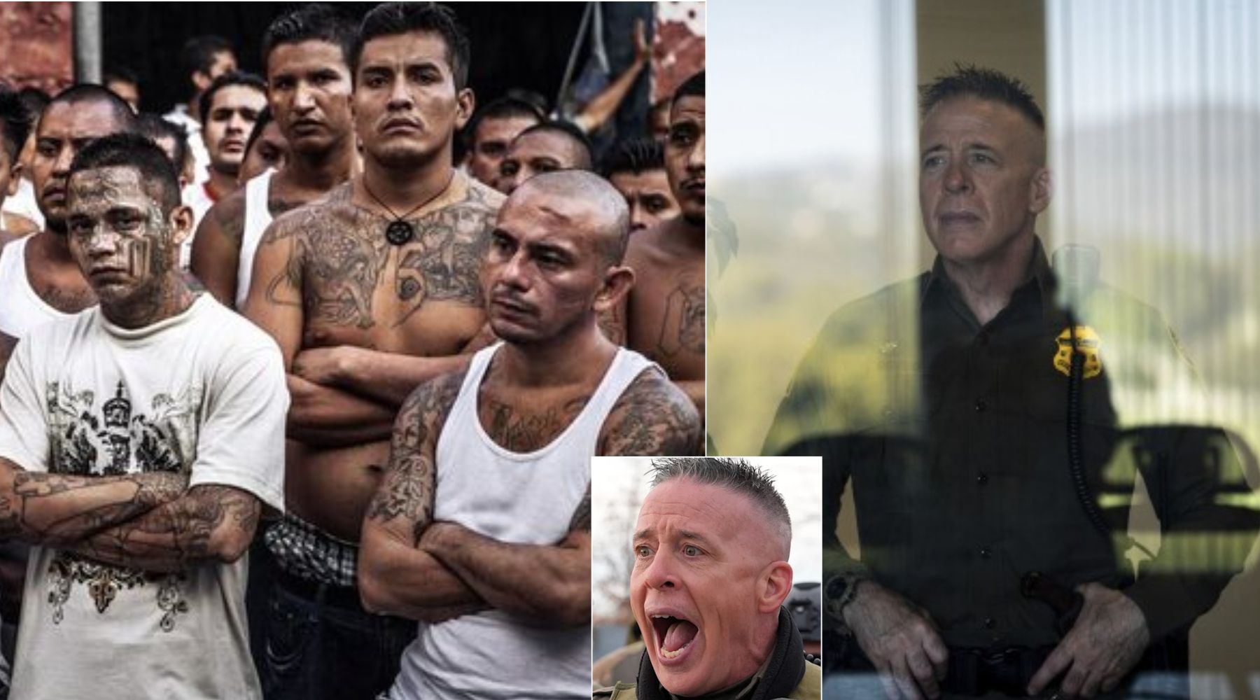 BREAKING: Gang members in Los Angeles still cooperating under a truce to protect LA from ICE are reportedly planning a "field trip" together to go "say hi" to Greg Bovino, who just returned to his home in Centro, CA.