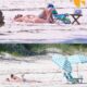 BREAKING: During a recent vacation, Taylor Swift is making waves online with a series of photos featuring her enjoying a beautiful beach getaway alongside Travis Kelce—fans everywhere are talking about how radiant and happy the couple looks together...